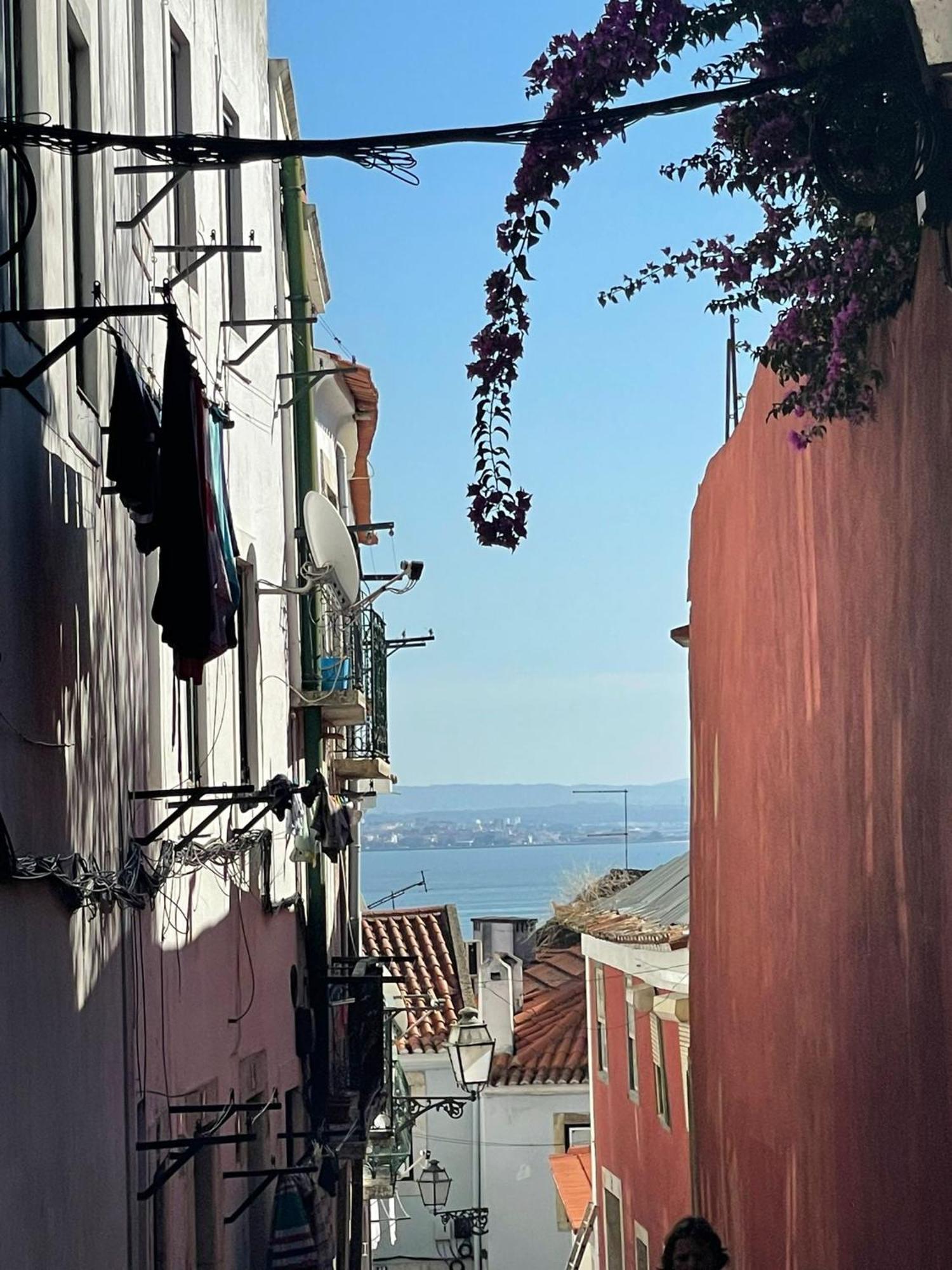 Quiet Street Alfama Lejlighed Lisboa Eksteriør billede